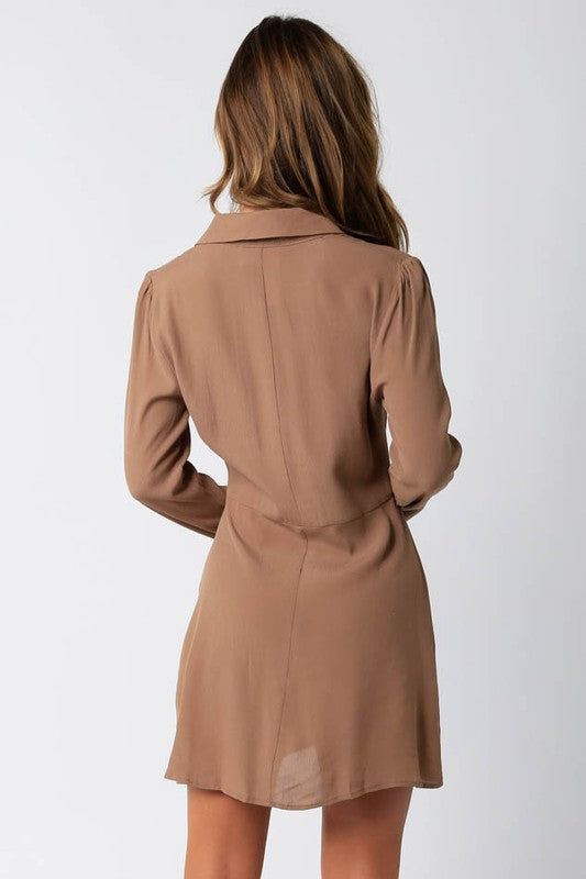 Tan Mini Dress