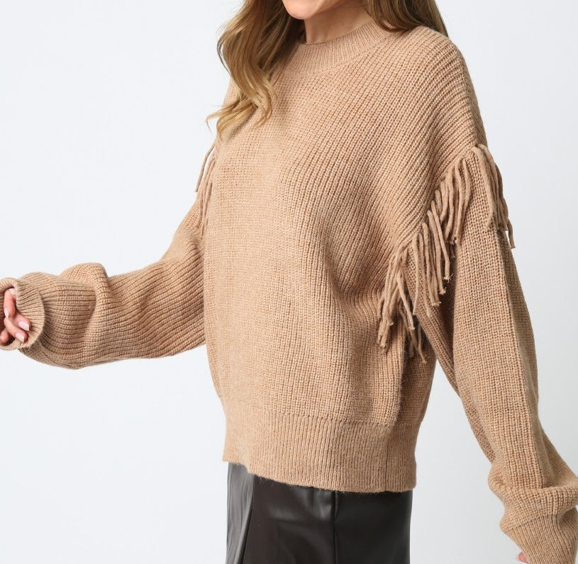 Fringe Knit Sweater