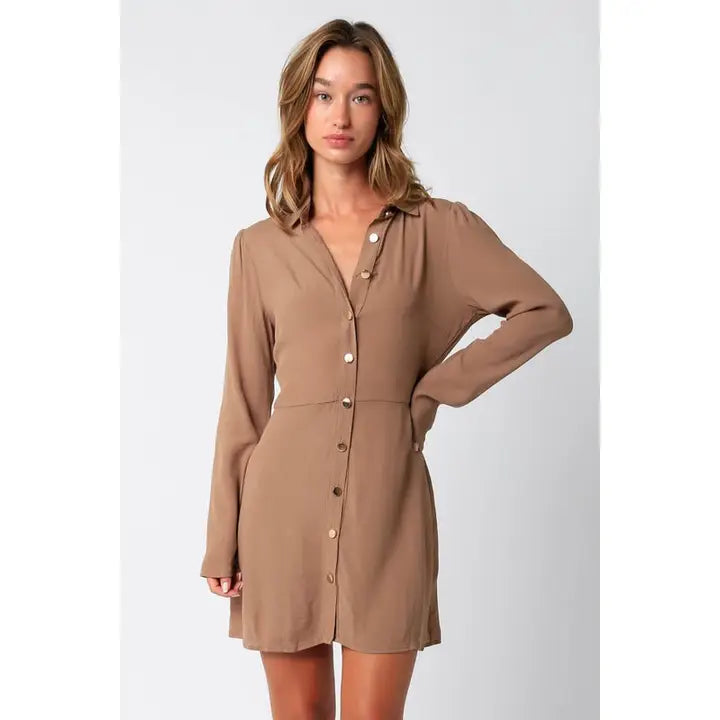 Tan Mini Dress